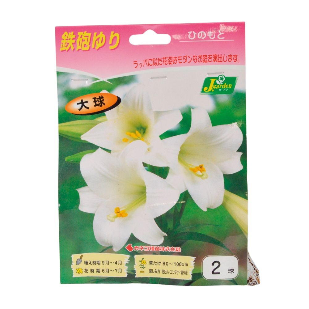 鉄砲ゆり    大球     ひのもと, -, 2球