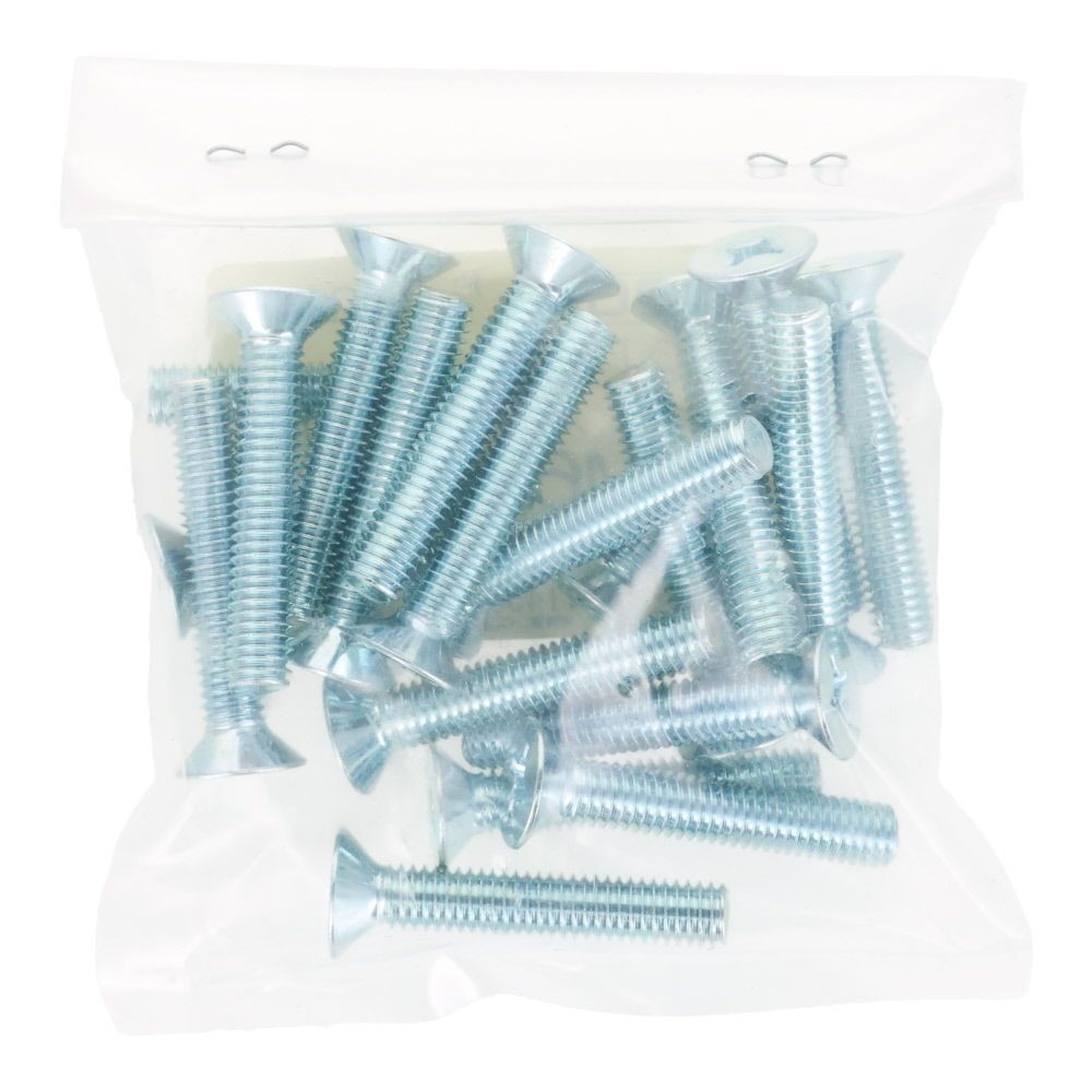 ユニクロ　小ねじ　皿　Ｍ６&times;３５　２０個入り, 小ねじ, M6&times;35