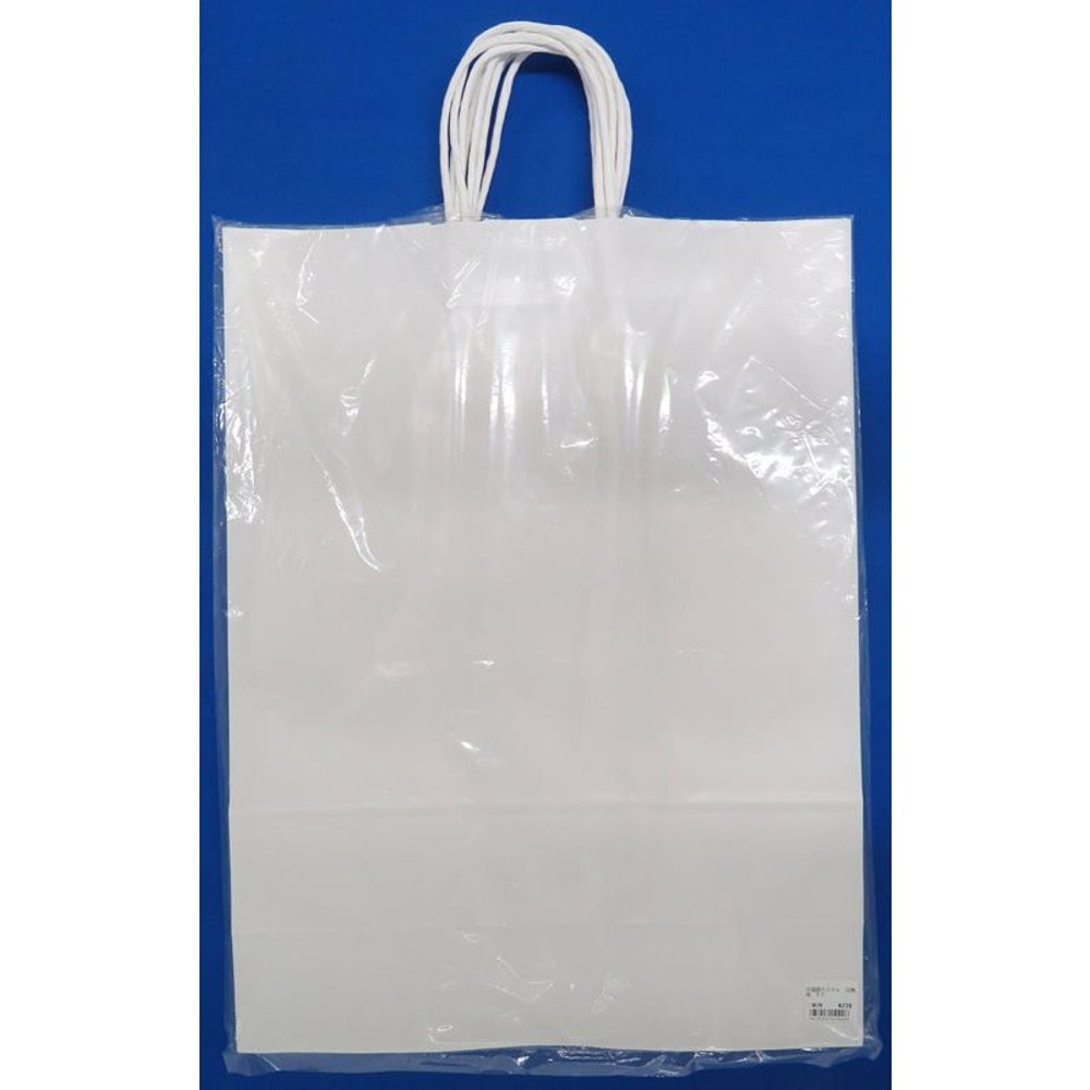 手提袋カスタム　白無地　5Ｐ, その他カラー１, その他サイズ１