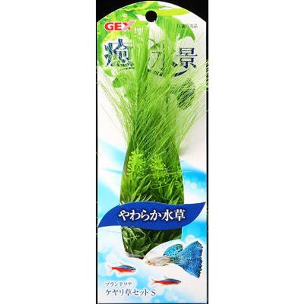 プランテリアケヤリ草セットＳ, -, -
