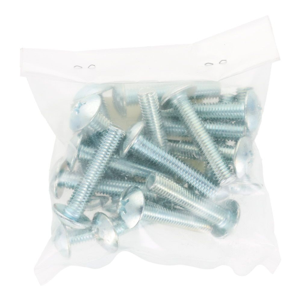 ユニクロ　小ねじ　トラス　Ｍ８&times;４０　２０個入り, 小ねじ, M8&times;40