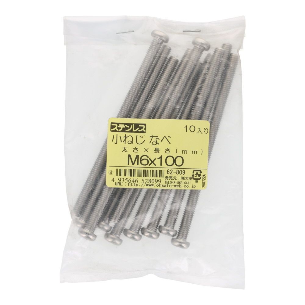 小ねじ　なべ　ステンレス　Ｍ６&times;１００　１０入, ステンレス, 10個入り