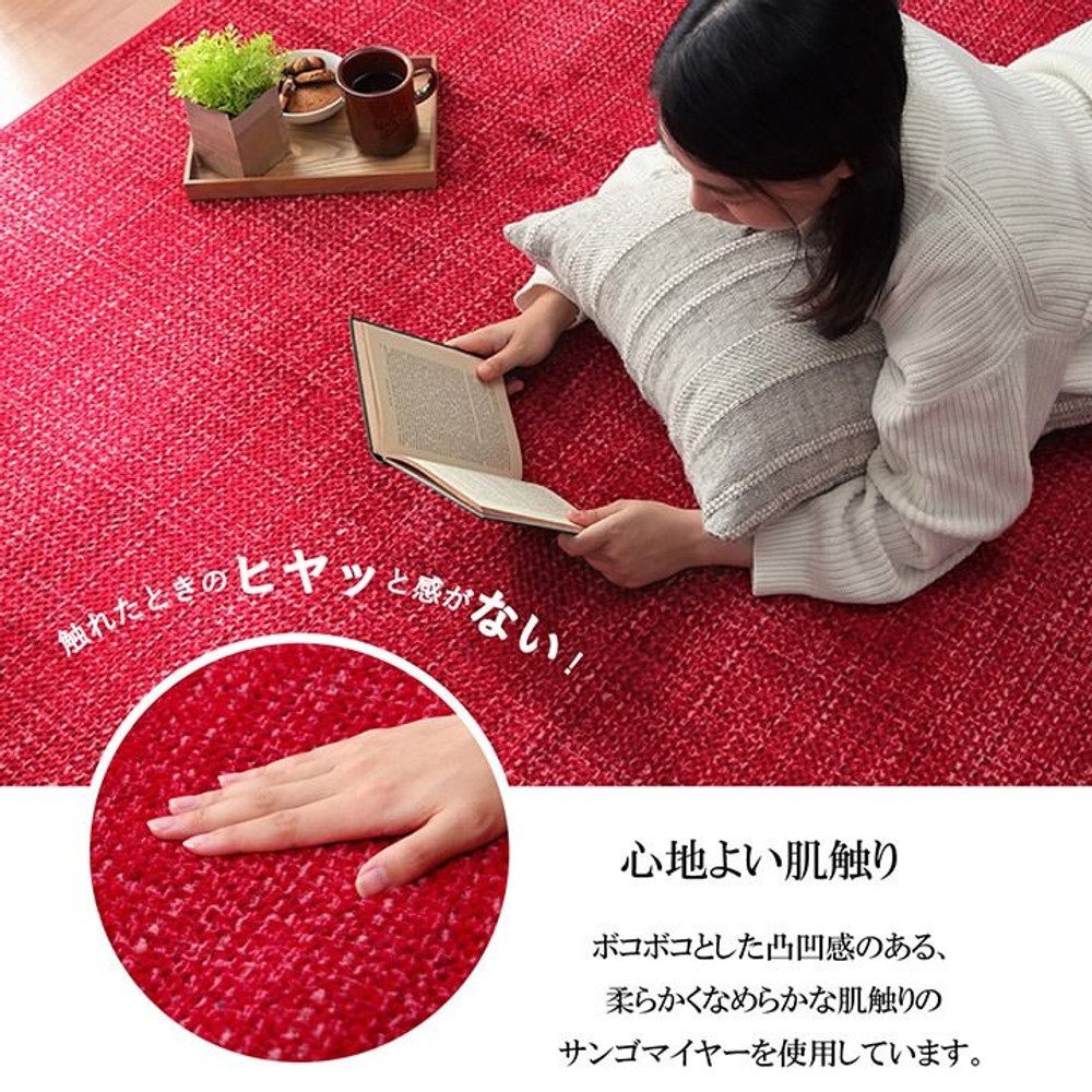 ラグ カーペット マット 珊瑚マイヤ 洗える 滑りにくい ベージュ 【メーカー直送・代引不可】, ベージュ, 185&times;185cm