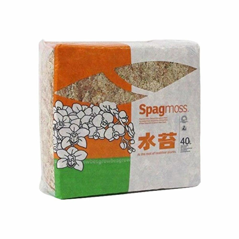 共福産業 ニュージーランド産 水苔 500g, 水苔, 500g