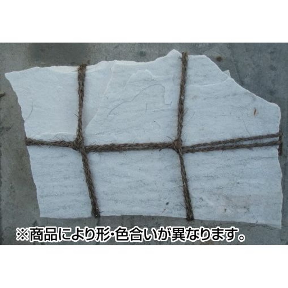 洋風乱形　アルビノ, -, 約8.0kg