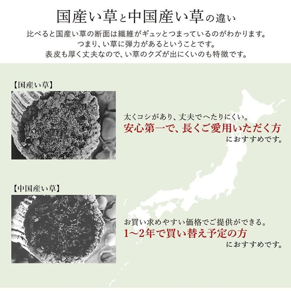 イケヒコ い草ラグカーペット Fソリッド ウレタン 無地調 グリーン 【メーカー直送・代引不可】, グリーン, 140&times;200cm