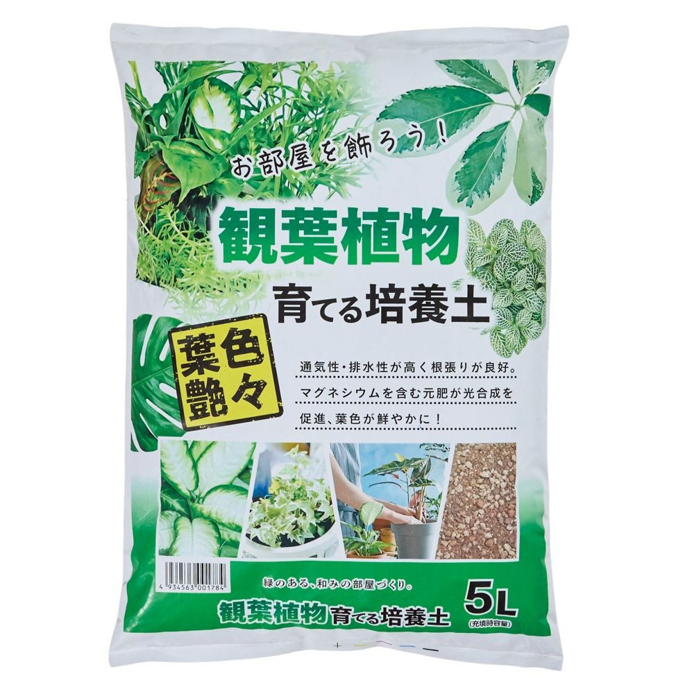 観葉植物を育てる培養土, 観葉植物, 2.0L