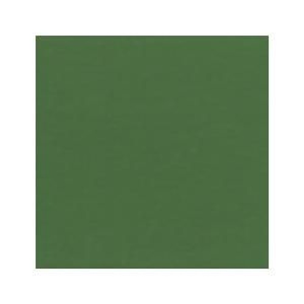 ホルベイン ガッシュ 不透明水彩 G550 テール ベルト 5号チューブ (15ｍｌ), G550 テール ベルト , 5号チューブ (15ｍｌ)