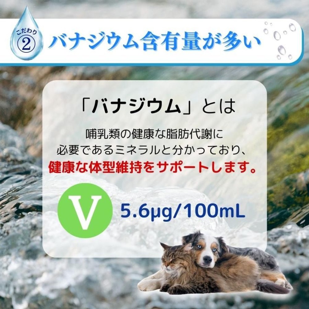 アース・ペット ペットの天然水 Vウォーター 500ml, ペット用, 500ml