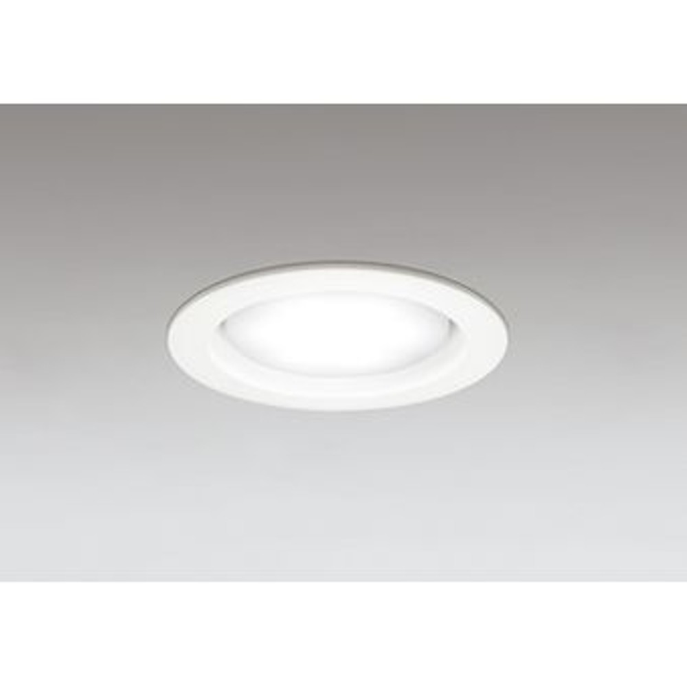 光源交換ＬＥＤダウン温白色&phi;１００　ＯＤ３６１２０４Ｗ, 白, -