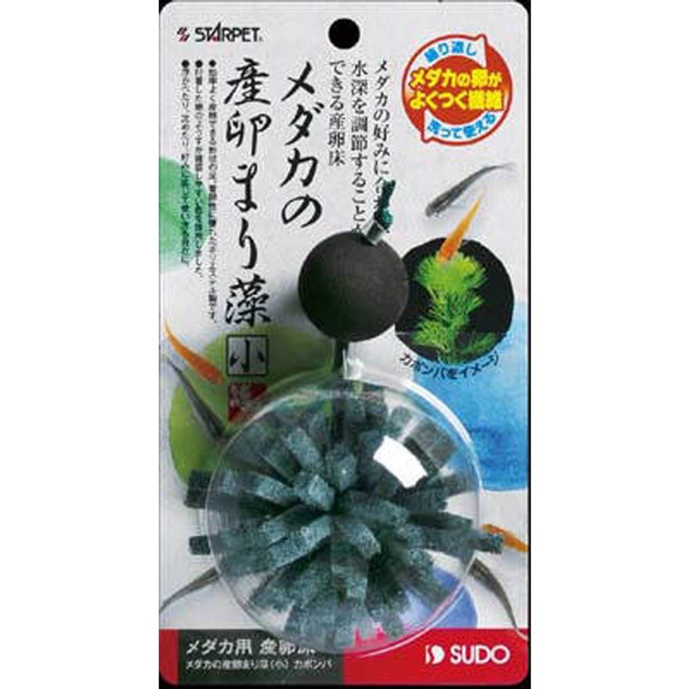 スドー　メダカ産卵まり藻　小　カボンバ, その他カラー１, その他サイズ１