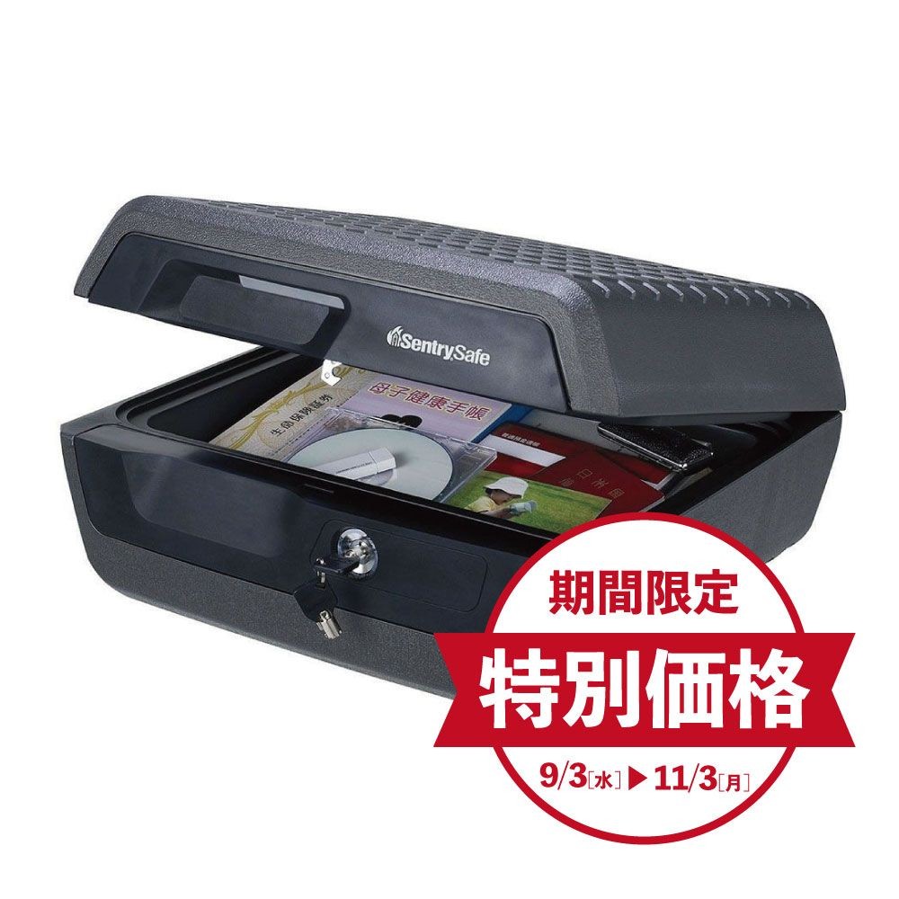 【期間限定特別価格】セントリー ポータブル耐火・防水保管庫  CFW30200, ブラック, CFW30200