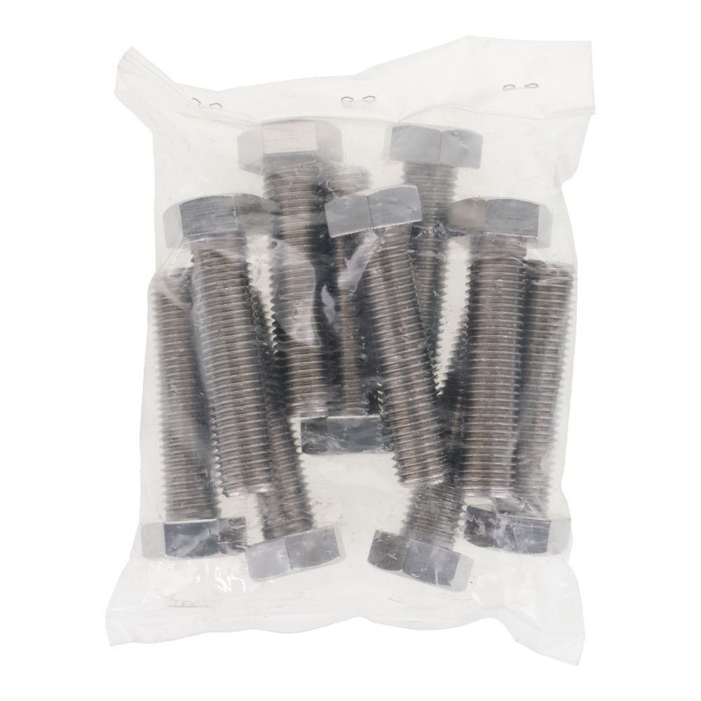 ステンレス　六角ボルト　Ｍ１６&times;６５　１０入, ボルト, M16&times;65