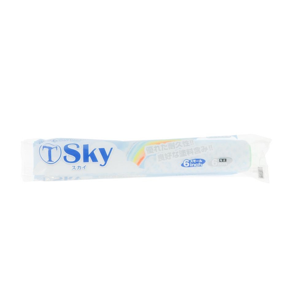 大塚 スカイローラー スモール 6ミリ 6SーSKY6, スモール, 6ミリ6インチ
