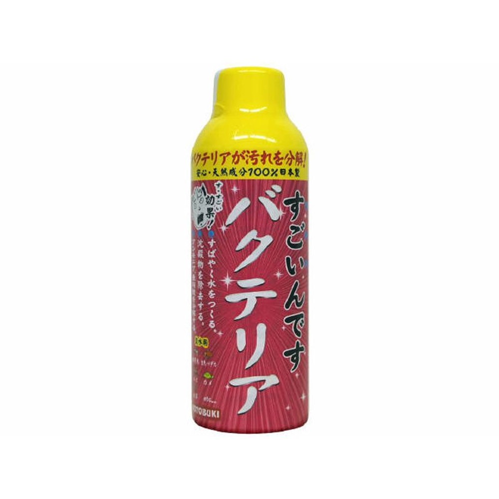 コトブキ　すごいんです　バクテリア