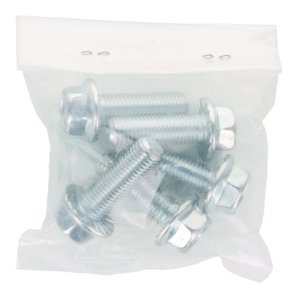 ７Ｔフランジボルト　細目　セレート付き　鉄　三価クロメート　Ｍ１０&times;３０　Ｐ＝１．２５　５本入り, ボルト, M10&times;30