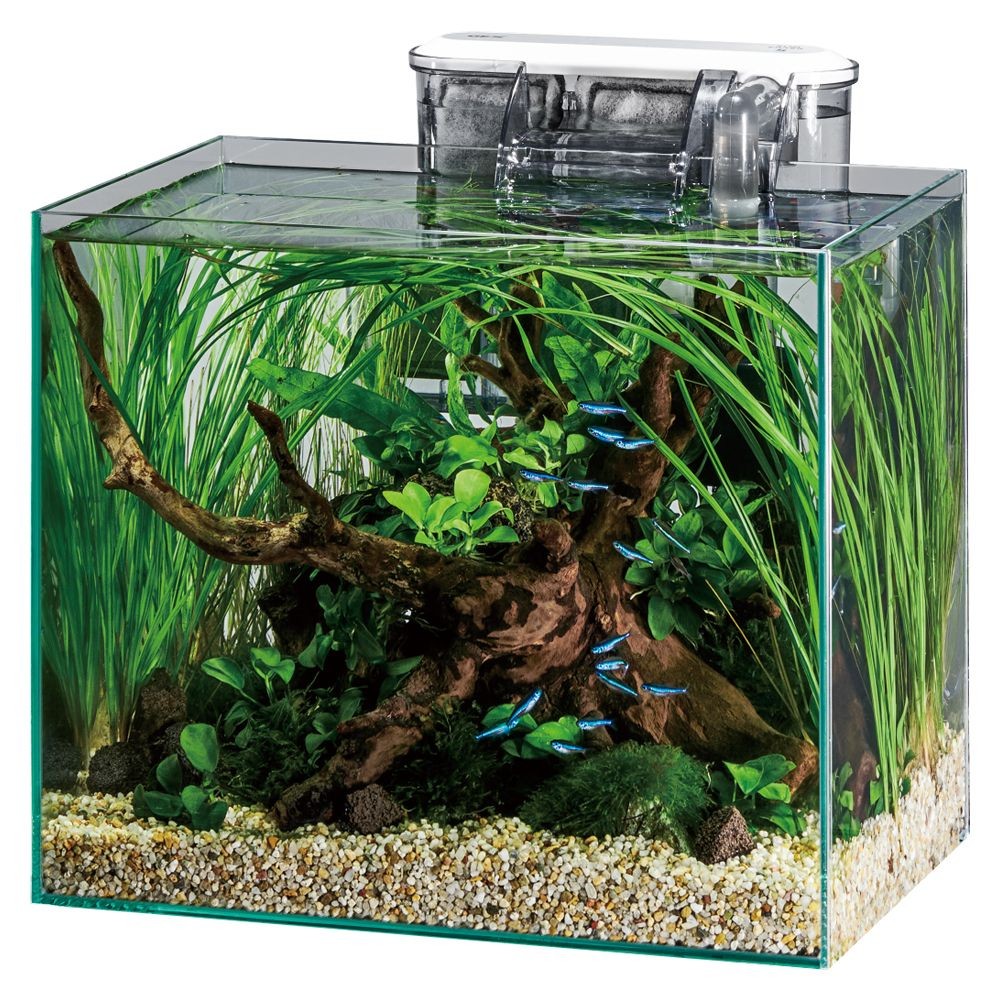 グラステリアFL300 スリムフィルターセット フレームレス水槽, クリア, 幅300mm&times;奥行200mm&times;高さ250mm