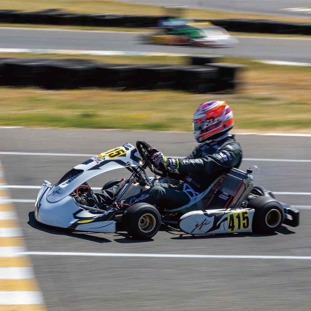 DRAPOJI&times;ー273 カートグローブ（L）　【メーカー直送・代引不可】【沖縄・離島除く】, ブラック, Lサイズ