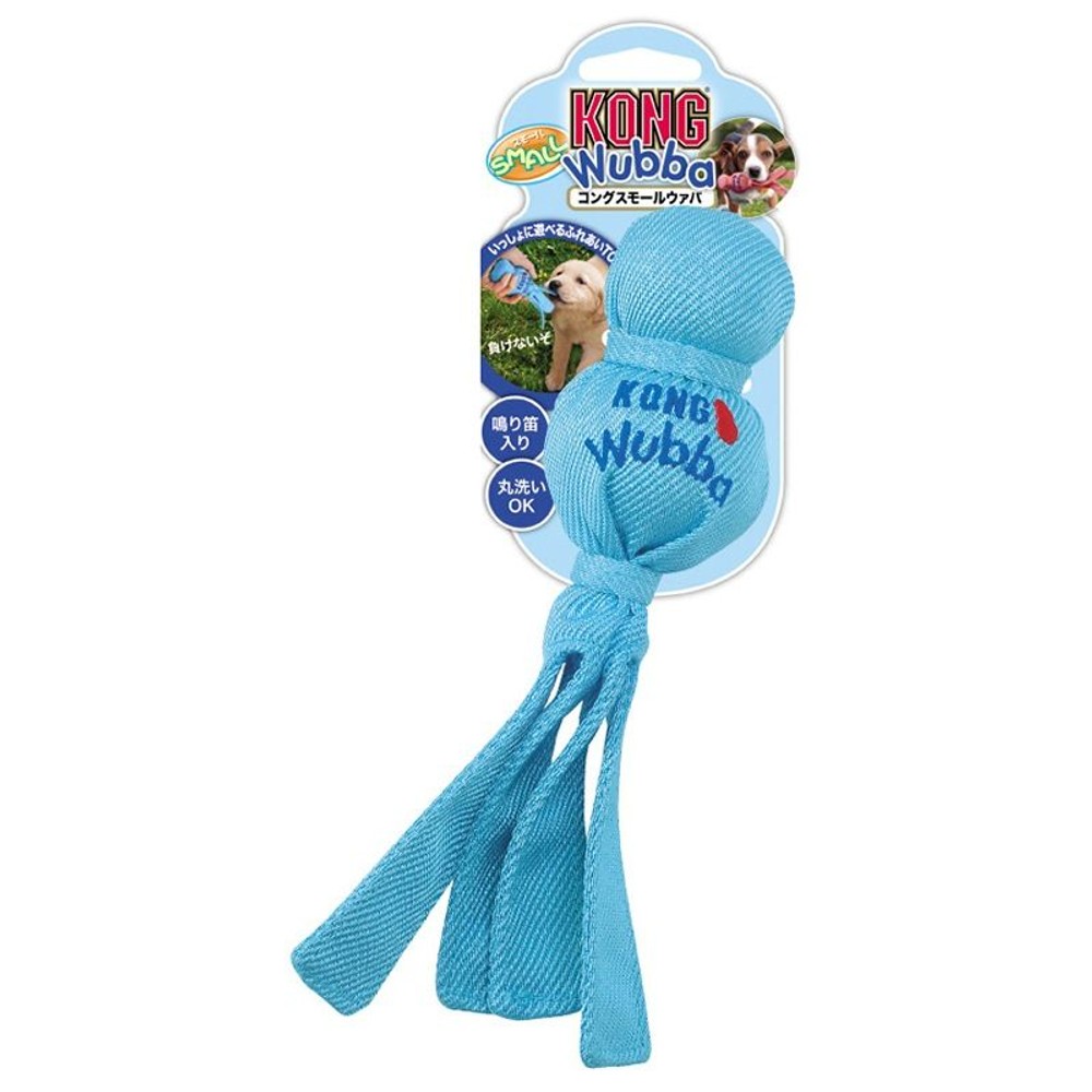 テトラ　コング      スモールウァバ, ライトブルー, -