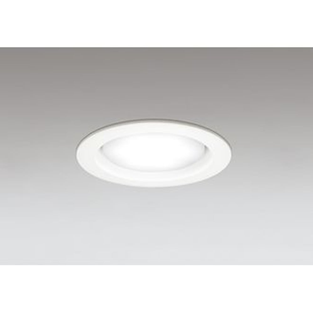 光源交換ＬＥＤダウン昼白色&phi;１００　ＯＤ３６１２０４Ｎ, 白, -