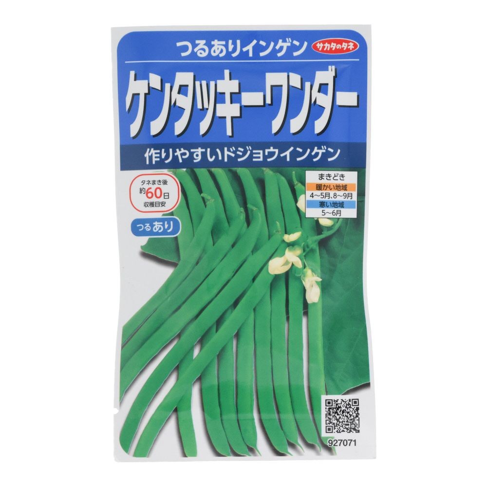 サカタ　つるありインゲン　ケンタッキーワンダー, インゲン, 30ml