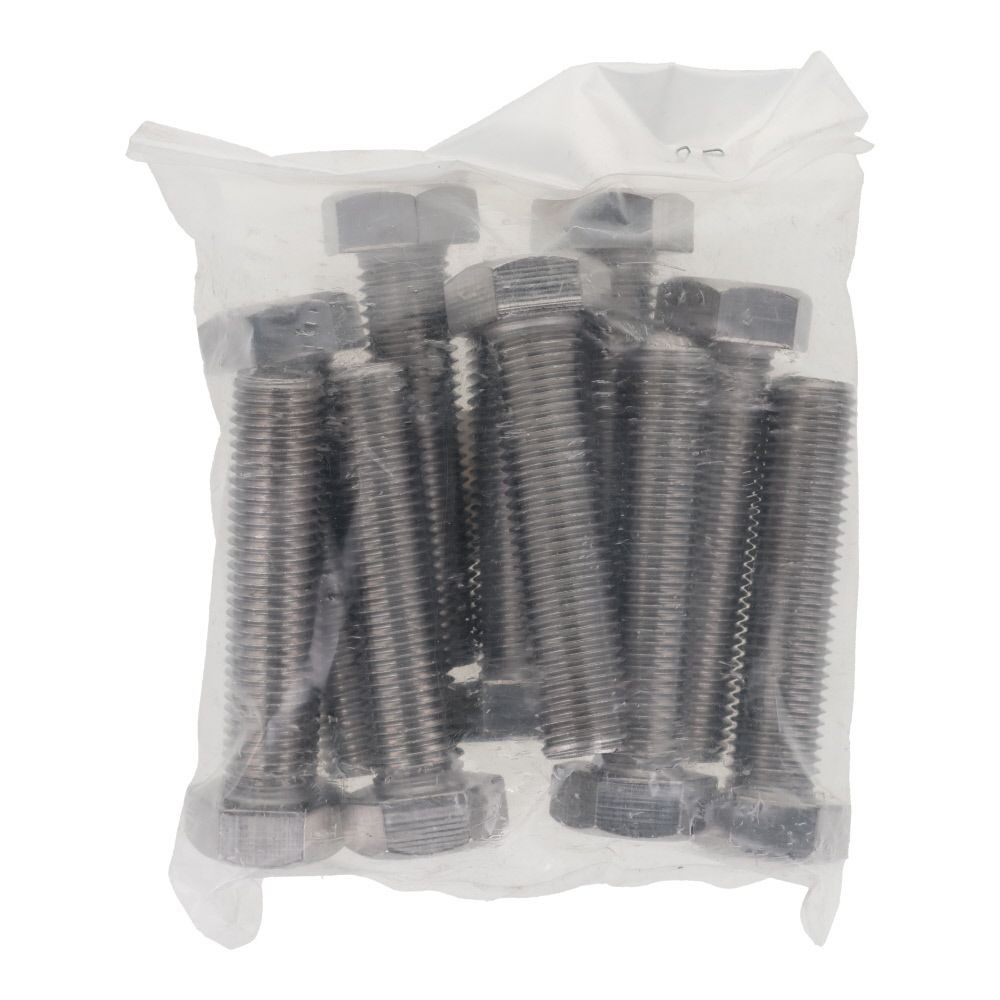 ステンレス　六角ボルト　Ｍ１６&times;７０　１０入, ボルト, M16&times;70