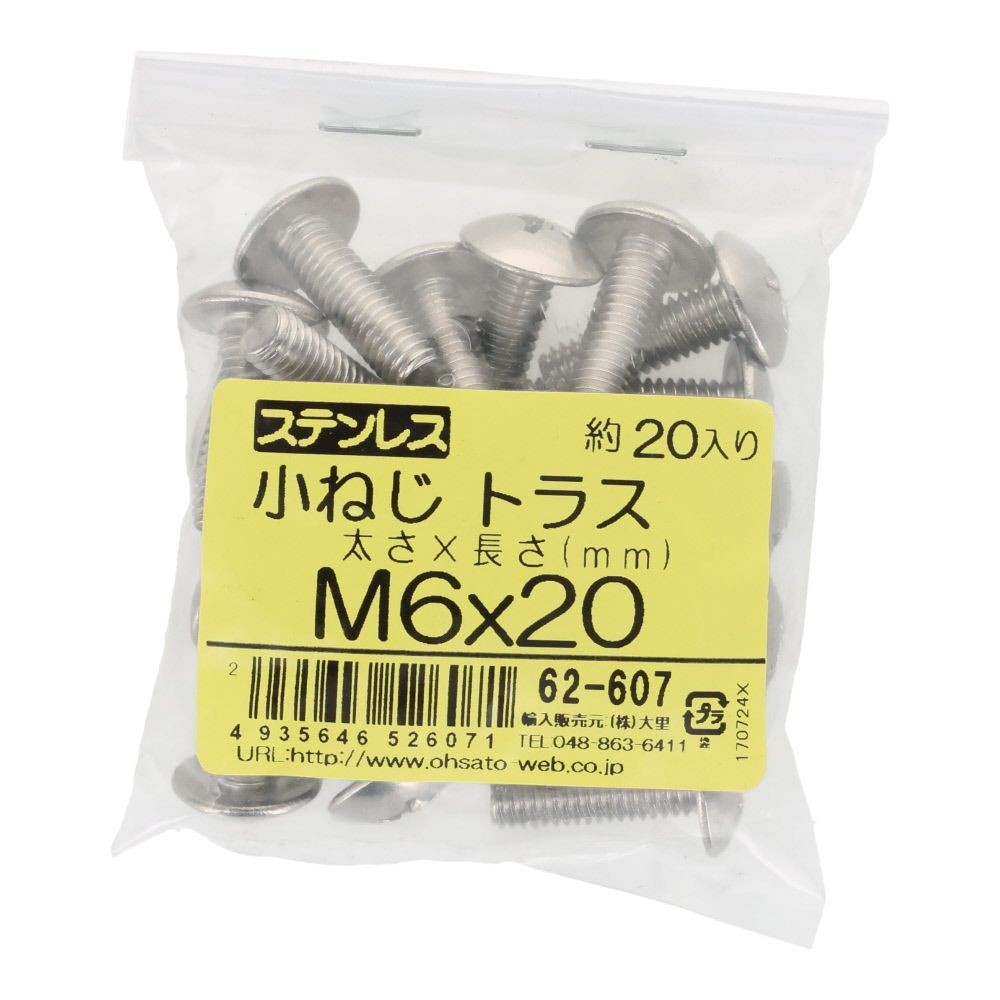 ステンレス　小ねじ　トラス　Ｍ６&times;２０　２０入, ステンレス, 20個入り