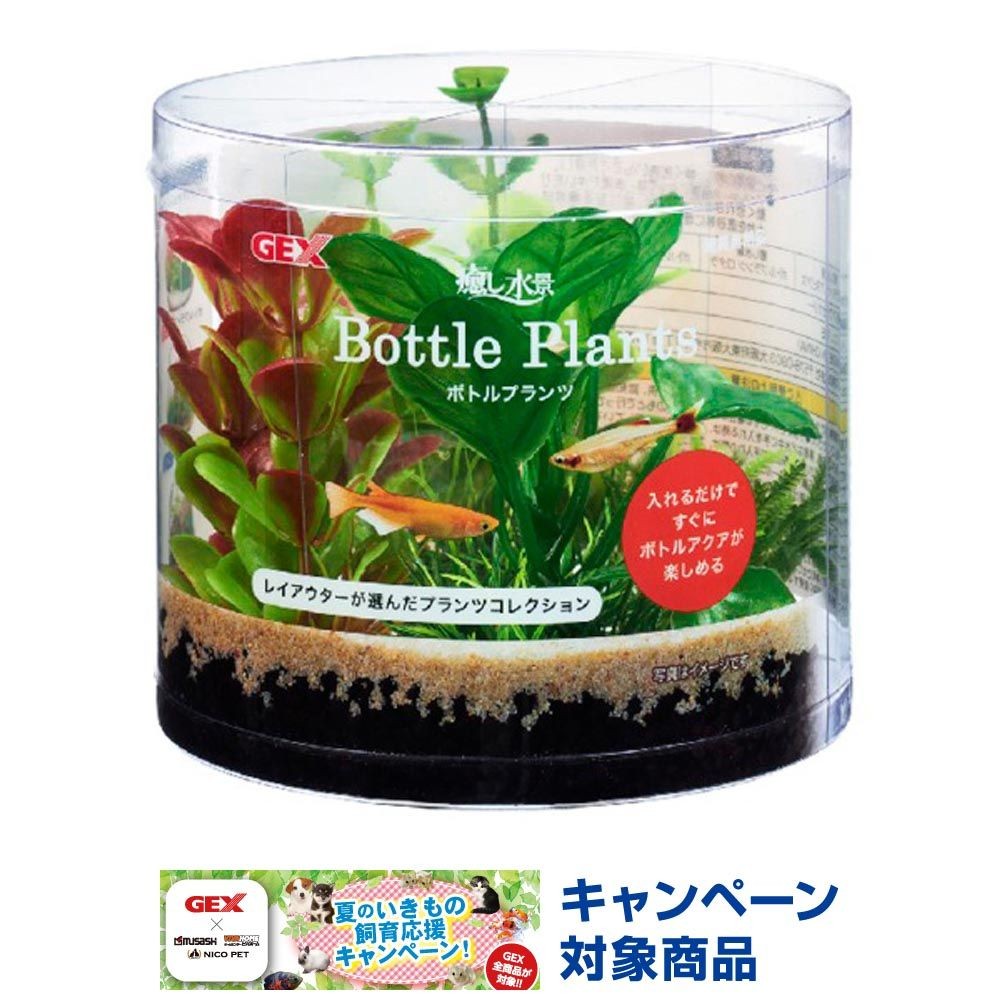 ジェックス　癒し水景　ボトルプランツ　アヌビアス, その他カラー１, その他サイズ１