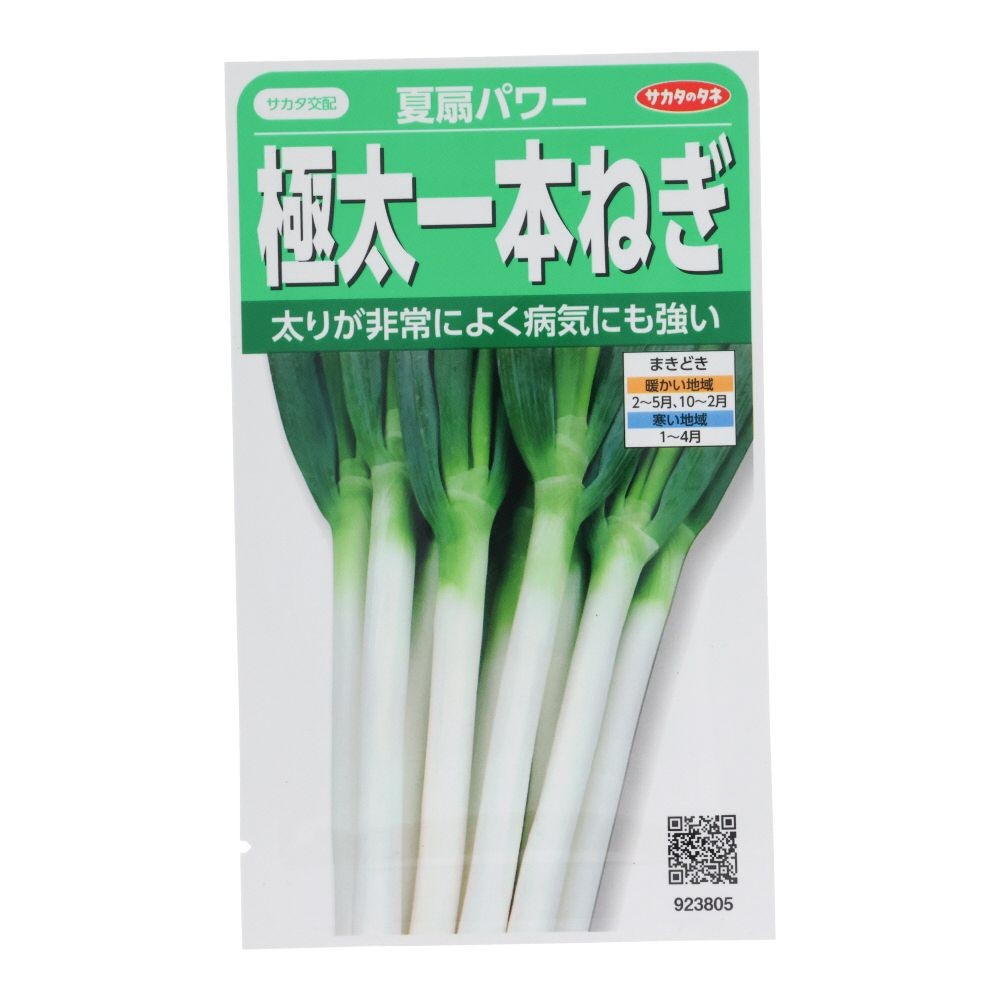 サカタ　極太一本ねぎ　夏扇パワー, ねぎ, 3ml
