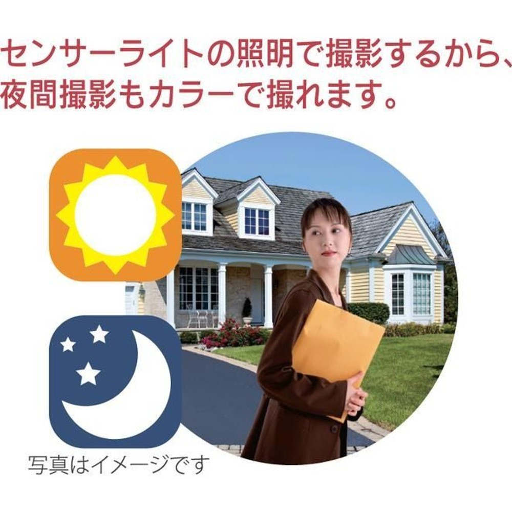 リーベックス REVEX センサーライト型防犯カメラ SD500, セード：乳白色, SD500