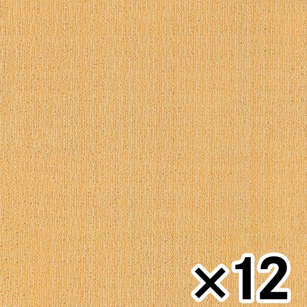 ニューピタコ40 NP409 クリームイエロー ×12枚セット,  ニューピタコ40 NP409 クリームイエロー ×12枚セット