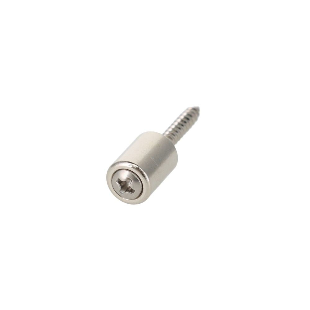 タナダボ　ネジドメ　９ｍｍ　４個, シルバー, 4個入り