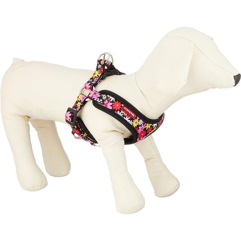 カワノ　ソフティハーネス　フラワー　ＢＫ, その他カラー１, SSサイズ