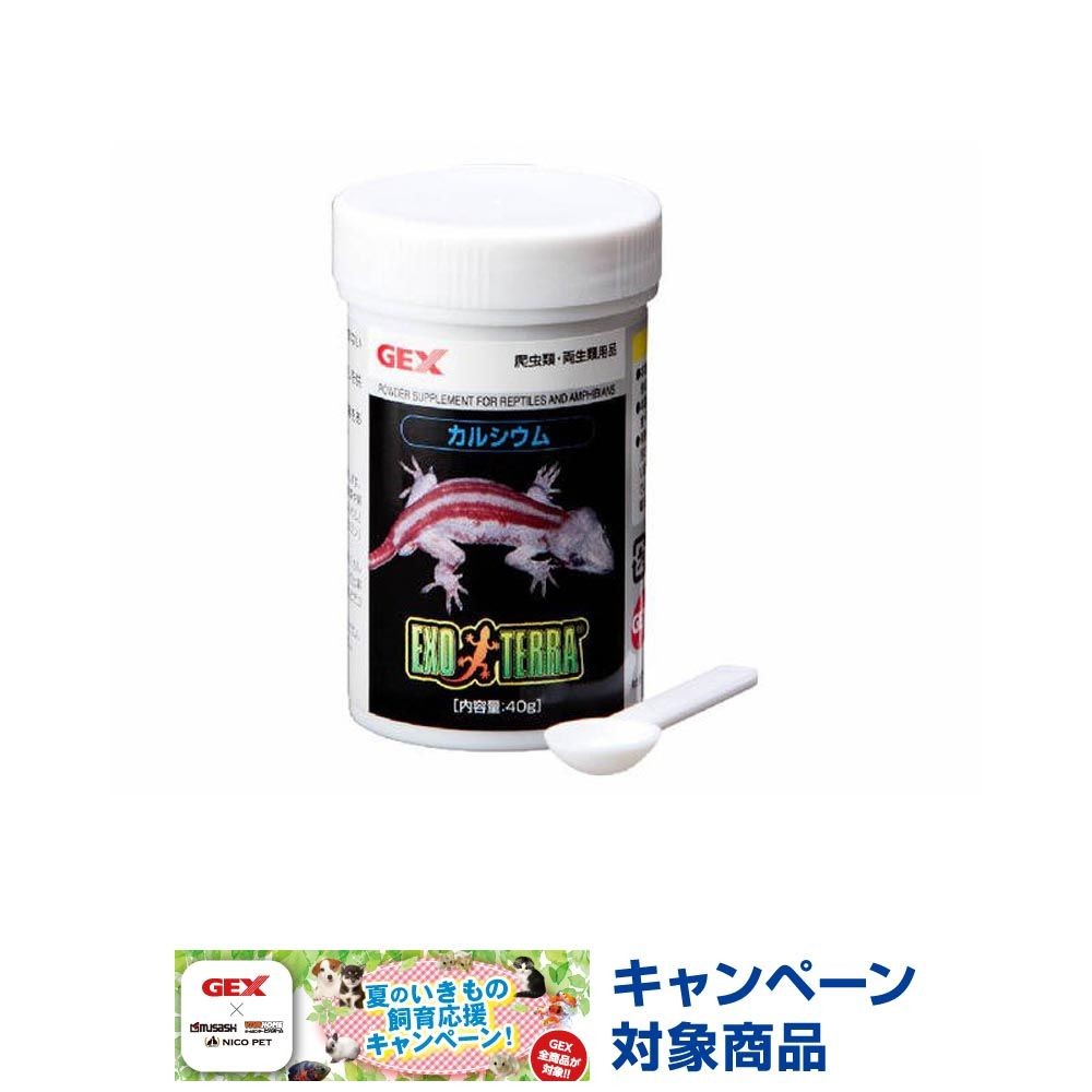 エキゾテラ　カルシウム　40Ｇ, その他カラー１, その他サイズ１