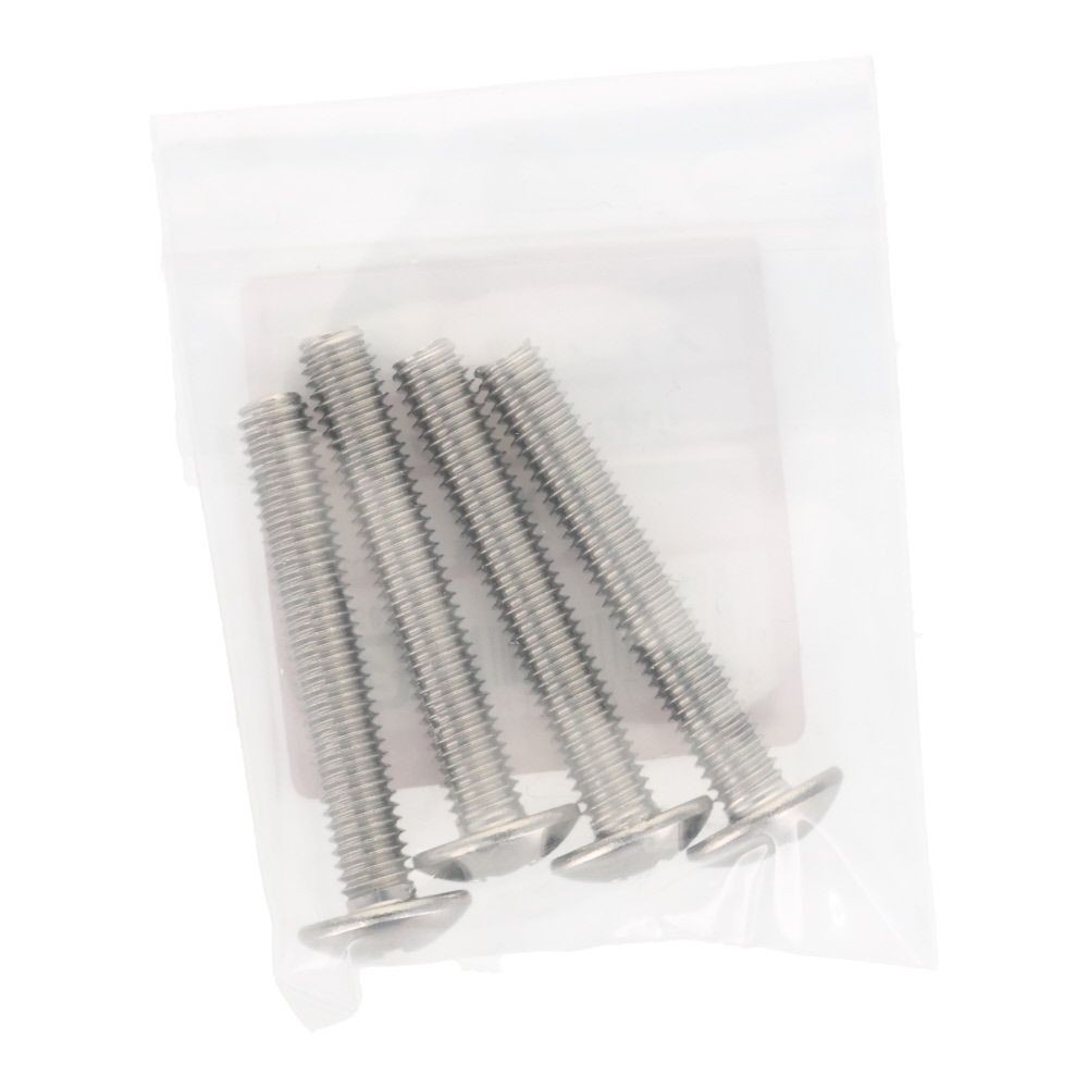 ＯＨＳＡＴＯ　ステン　コネジ　トラス　Ｍ６&times;４０, ステンレス, 4本入り