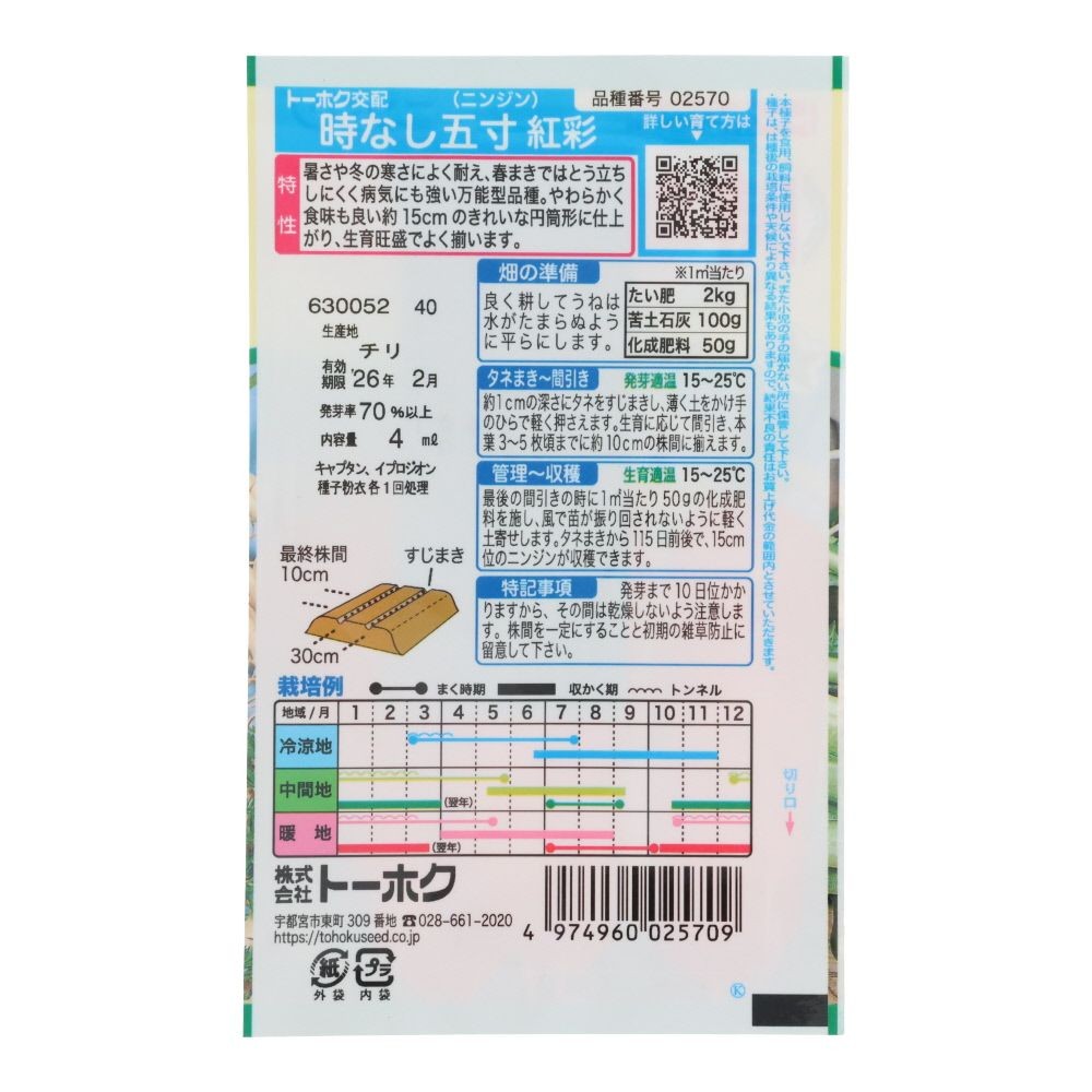 トーホク　F1時なし五寸人参     紅彩, 人参, 4ml