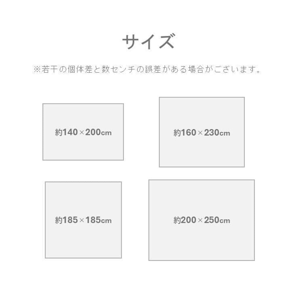 イケヒコ 敷物 ラグ（ボンディングラグ） シャンティ BE  ベージュ 【メーカー直送・代引不可】, ベージュ, 140&times;200cm