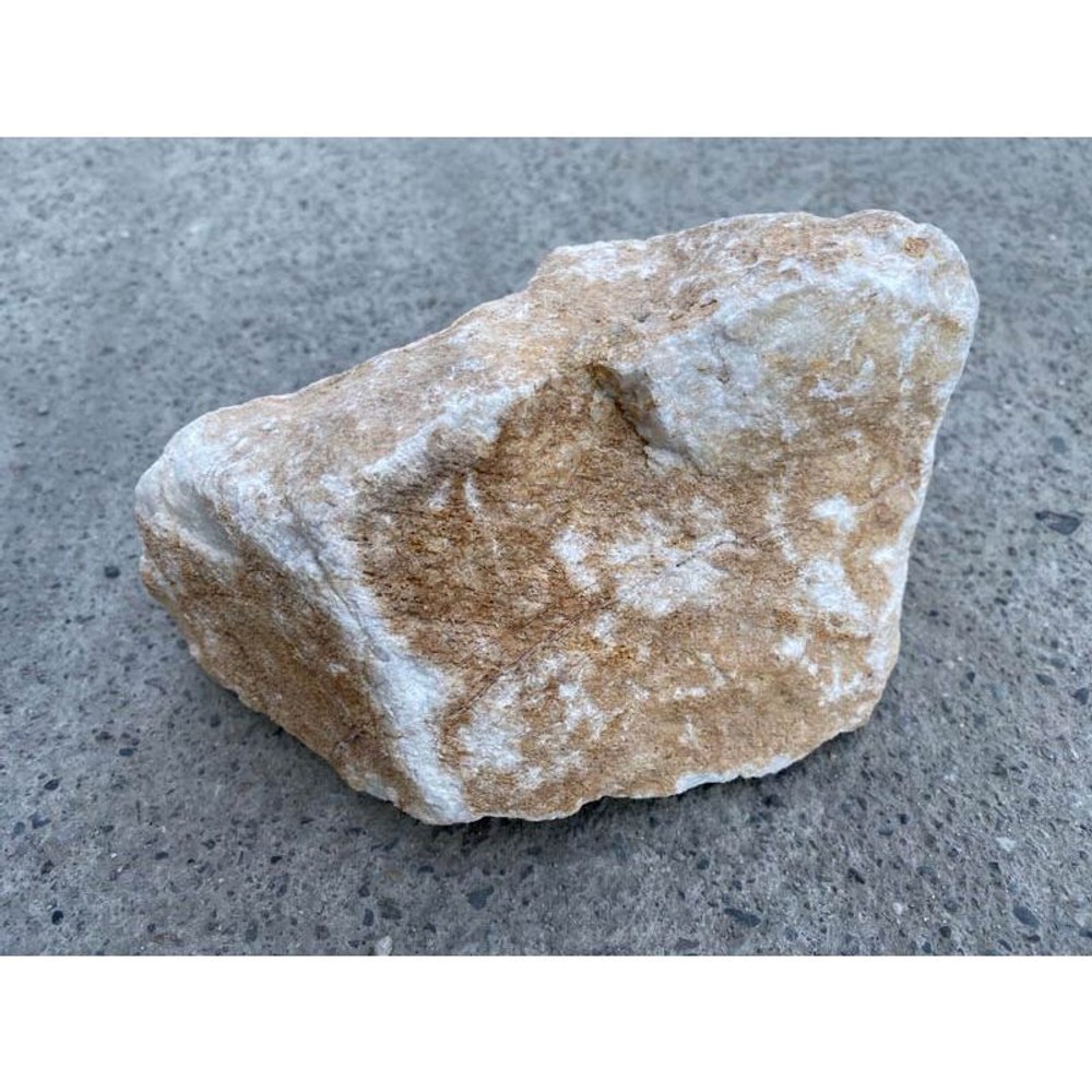 マール, -, 約1.0kg