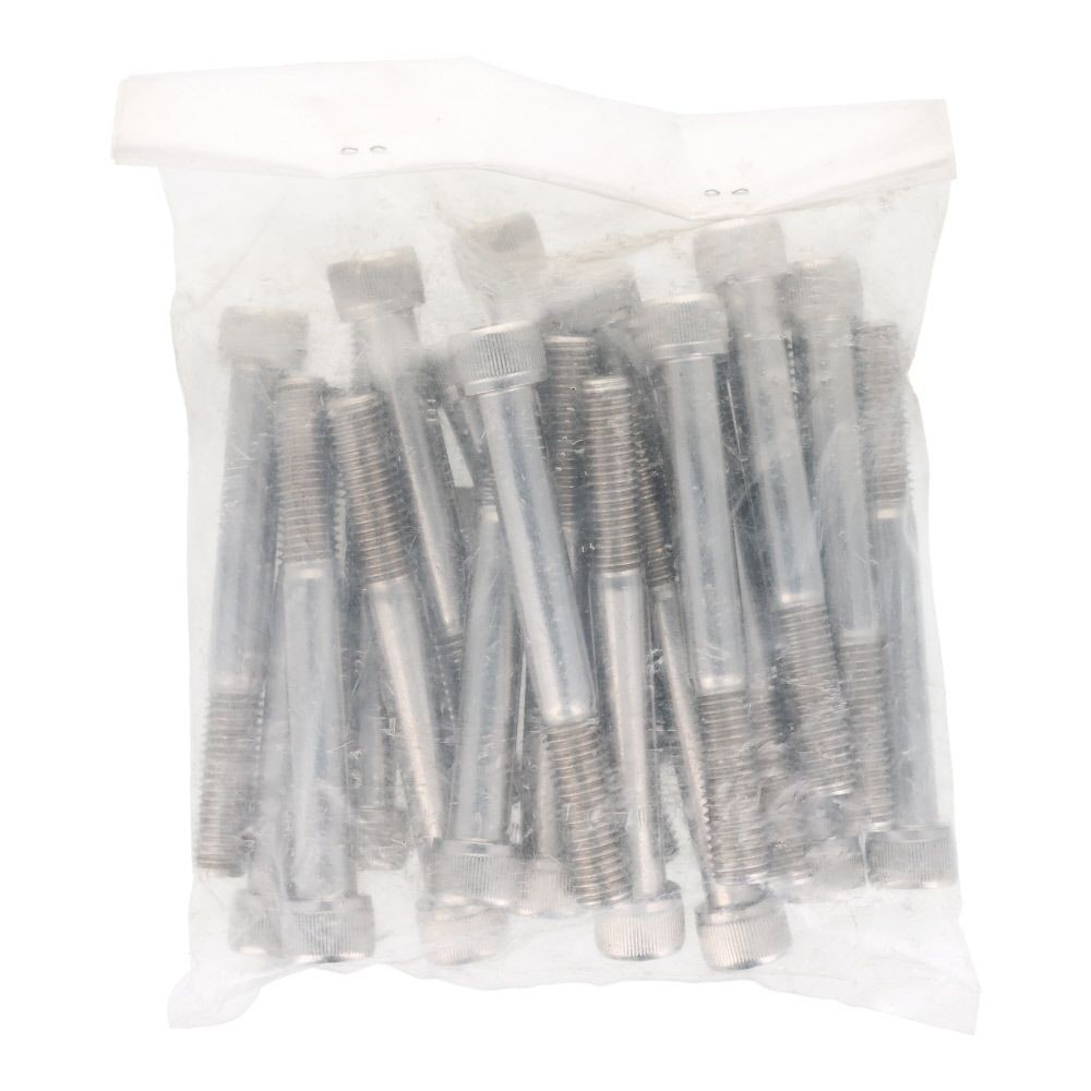 ステンレス　６角穴付ボルト　Ｍ１２&times;１００　２０個入, ステンレス, M12&times;100