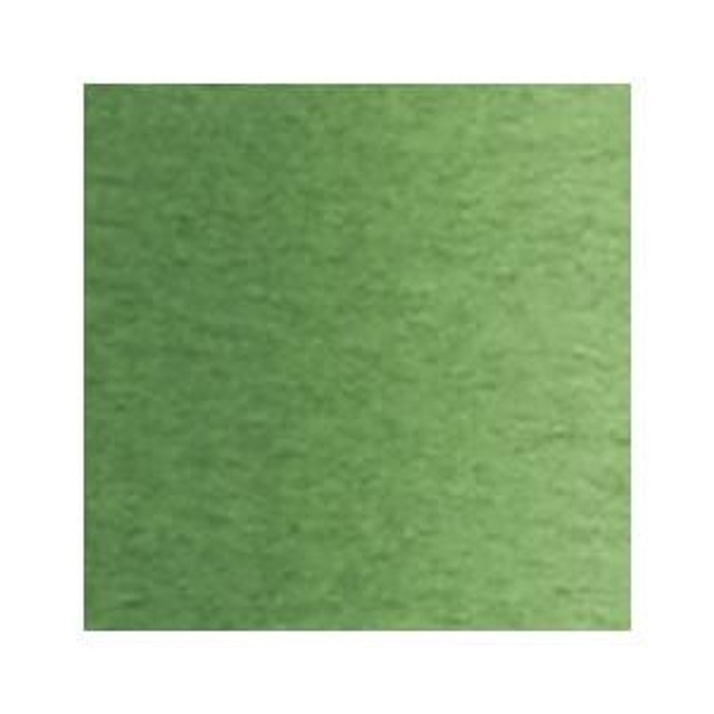 ホルベイン 透明水彩絵具 5号 (15ｍｌ) W265 テール ベルト, W265テールベルト, 5号 (15ml) 