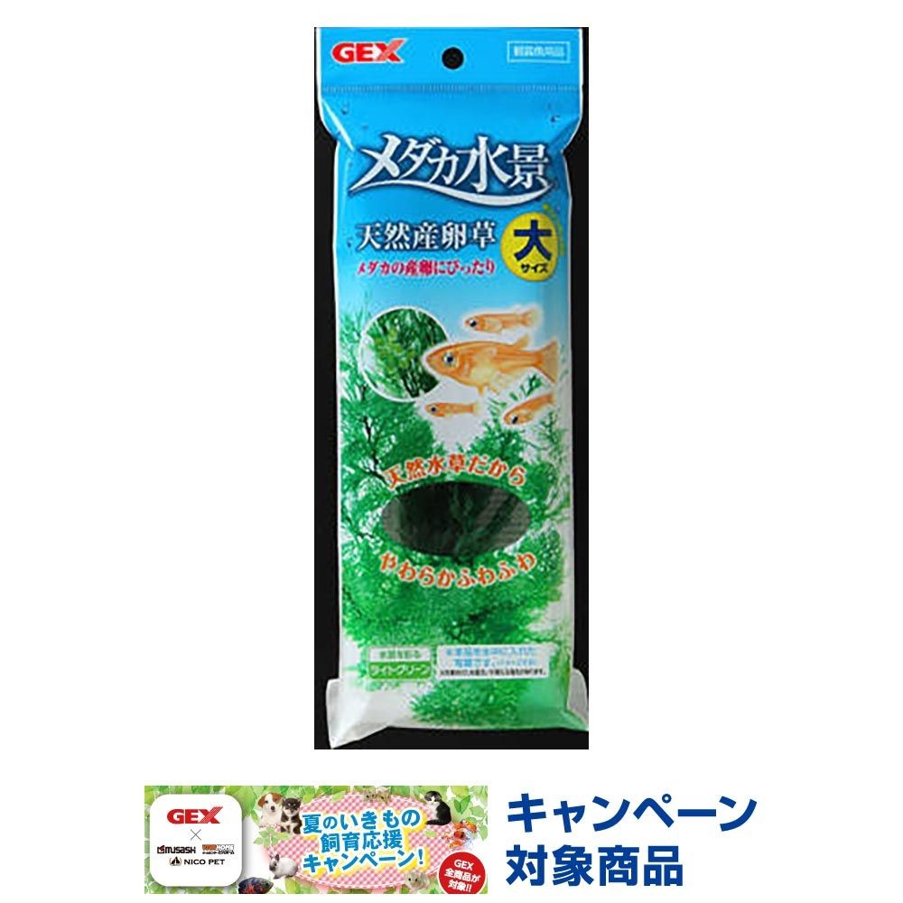 メダカ水景　天然産卵草大, その他カラー１, その他サイズ１