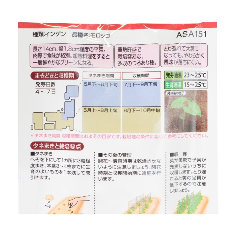 タキイ　つるありインゲン　モロッコ, -, 25ml