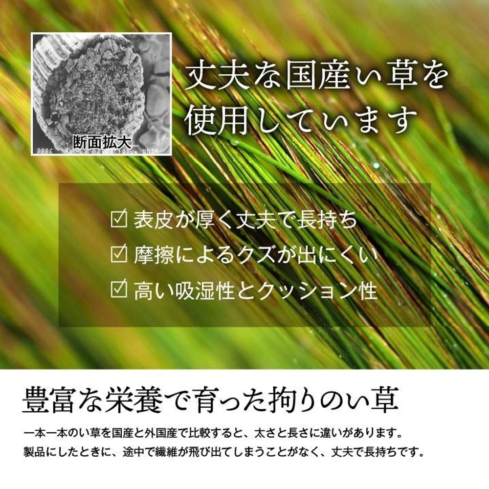 純国産 い草 上敷き 上質ない草で作った カーペット 双目織 江戸間 【メーカー直送・代引不可】, い草, 江戸間1畳 88&times;176cm