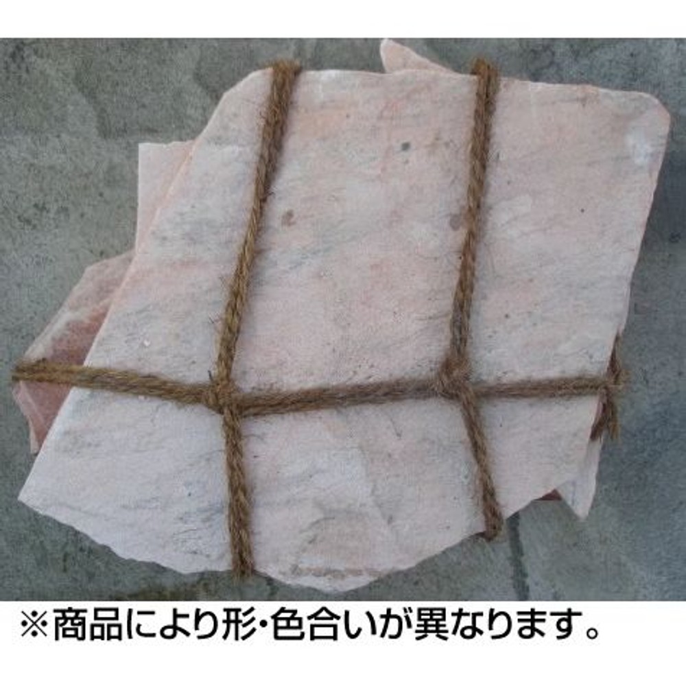 洋風乱形　アルビノ, -, 約8.0kg