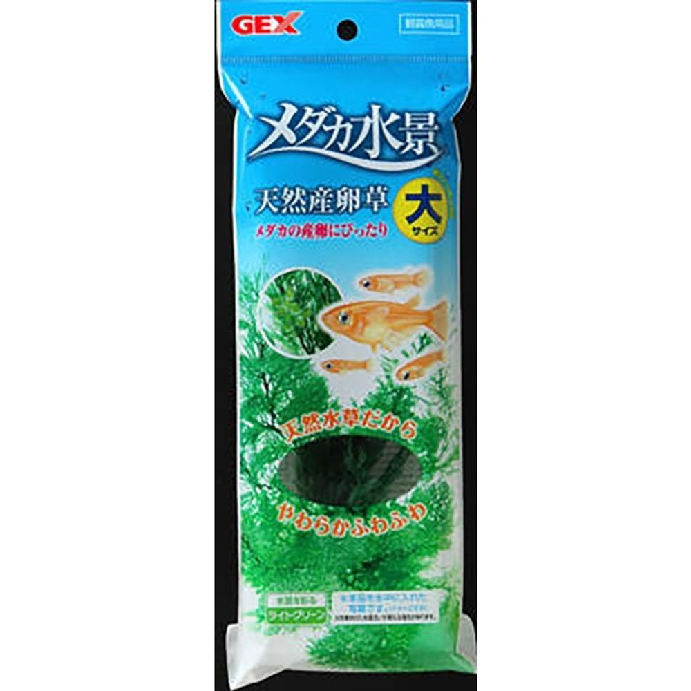 メダカ水景　天然産卵草大, その他カラー１, その他サイズ１