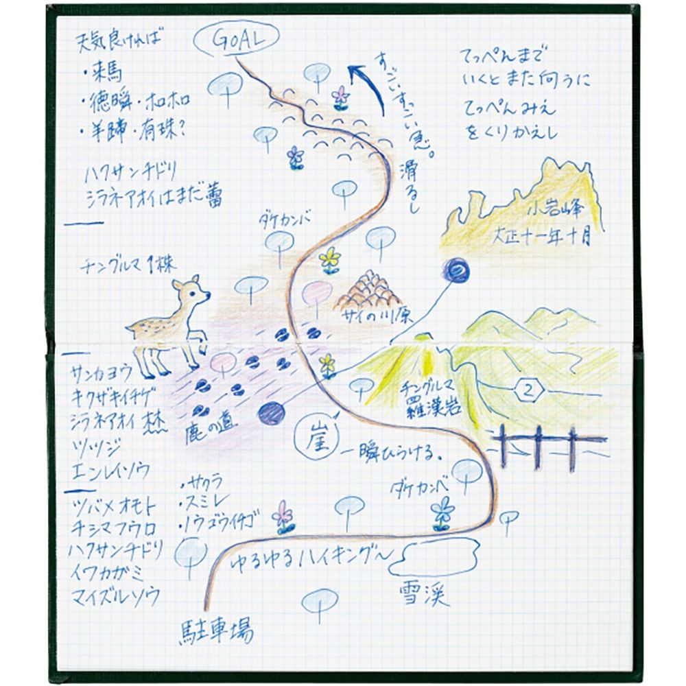 【10冊セット】測量野帳　スケッチ　　　　　　セーＹ３【メーカー直送・代引不可】, グリーン, セ-Y3