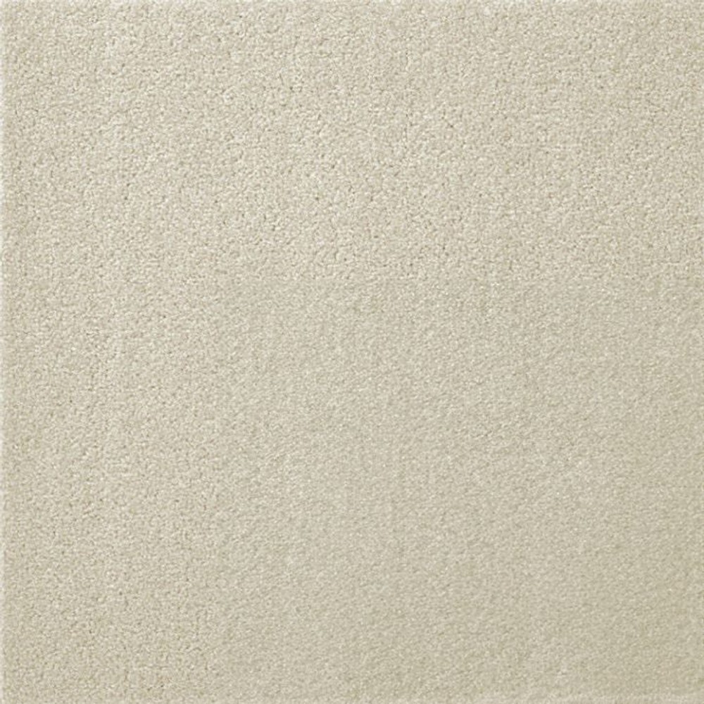 東リ　ウィズペットフロアー　約40Ｘ40ＣＭ　スノー, スノー, 40&times;40cm