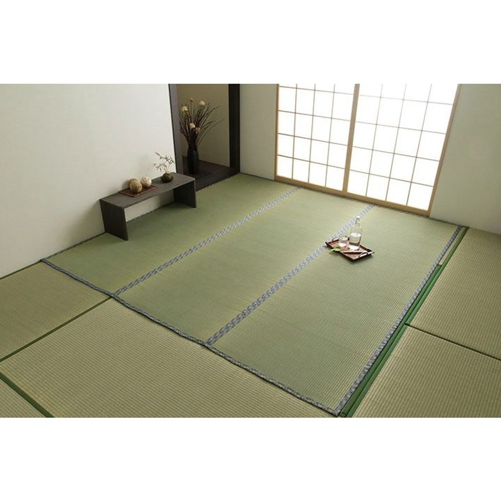 純国産 い草 上敷き 上質ない草で作った カーペット 双目織 江戸間 【メーカー直送・代引不可】, い草, 江戸間1畳 88&times;176cm