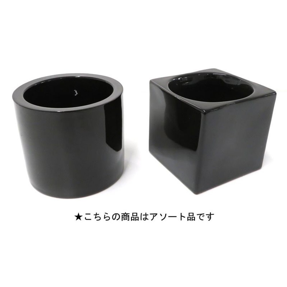 ハイミニフィットの鉢, 黒, -