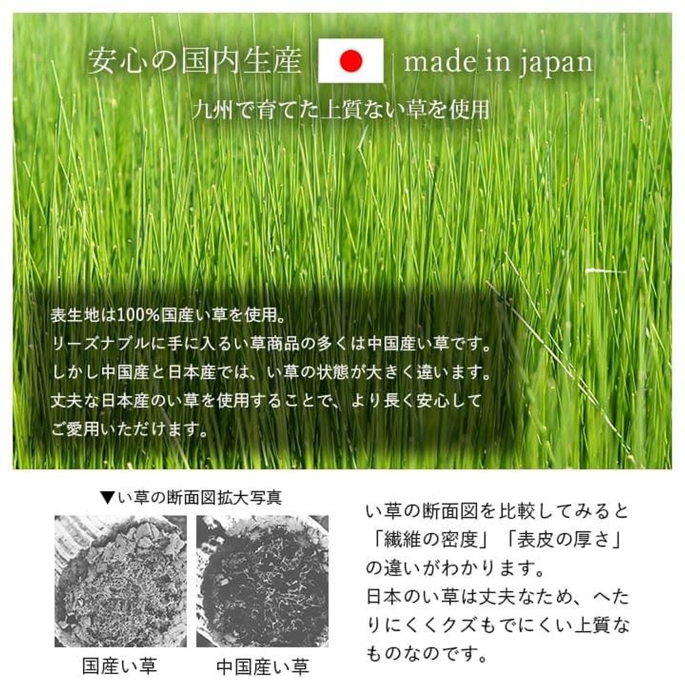 寝具 マット マットレス い草 コンパクト 調湿効果 抗菌防臭 90&times;200cm, グリーン, 90&times;200cm